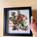 Preserved Florals