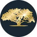 Abundant Wealth Strategies