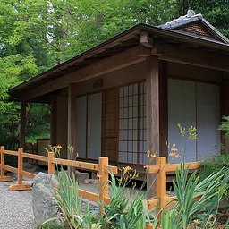 Japanese Tea Gathering: Shiwsu -2nd seating