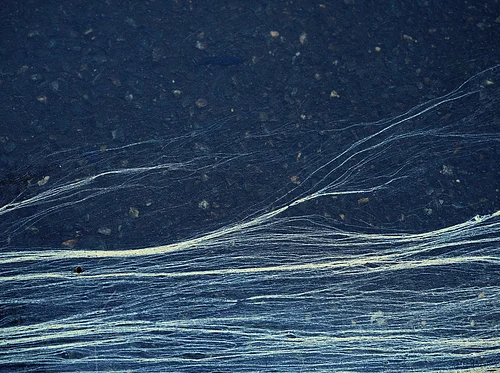 May | Coffee and Conversation – Member Networking Event