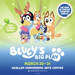 Bluey’s Big Play