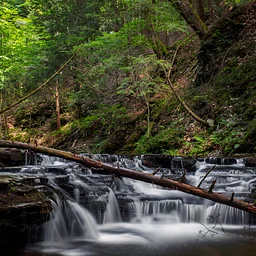 Talks & Treks: Nature Photography with Chris Ray