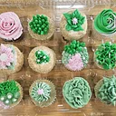 Adult Beginners: Buttercream Basics (Succulents)