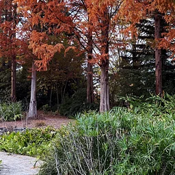 November Garden Tour