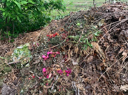 Composting Series: Compost and the Environment
