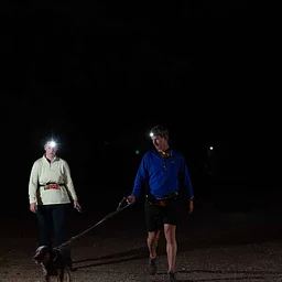 Guided Night Hike
