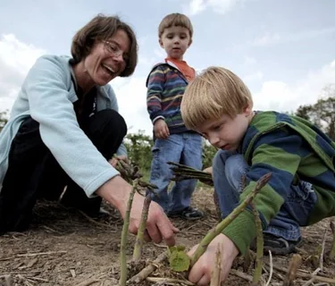 Read & Pick: Vegetables