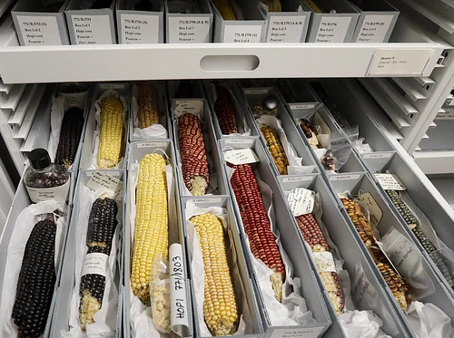 Easton Collection Center Tour