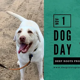 Dog Day at Deep Roots