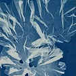 Nova Arts