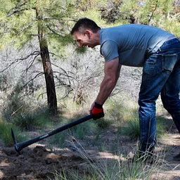 Volunteer Project Day – Trail work