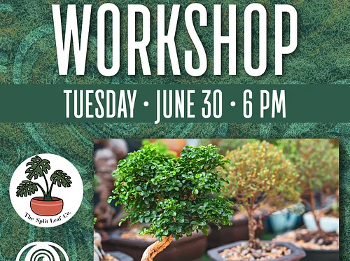 Bonsai Workshop @ Hamilton