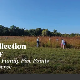 Seed Collection Workday