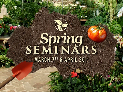 Spring Seminar | Container Gardening