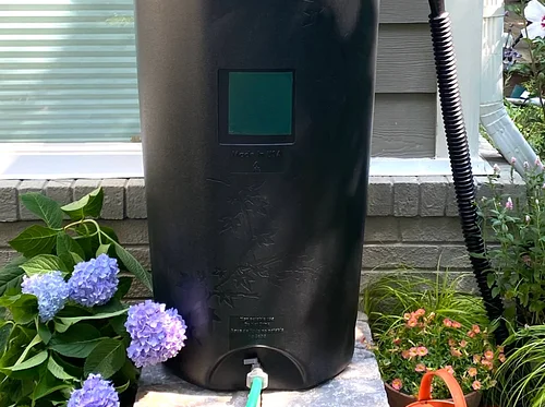 Rain Barrel Workshop: Collect Rainwater for Your Garden