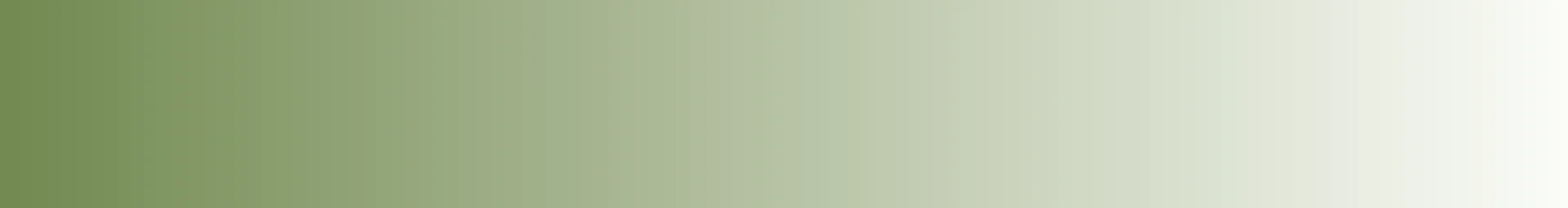 Charleston Parks Conservancy