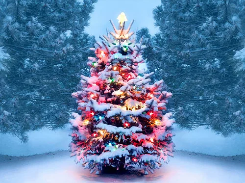 Christmas in July at the Farmer’s Market – July 11th