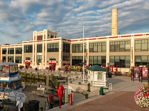 Second Friday: Cherry Blossoms