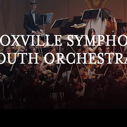 Youth Ensembles Showcase
