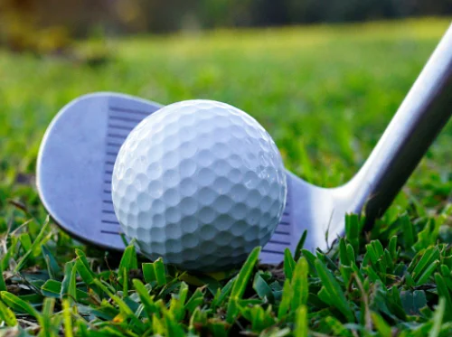 Annual Fall Golf Tournament