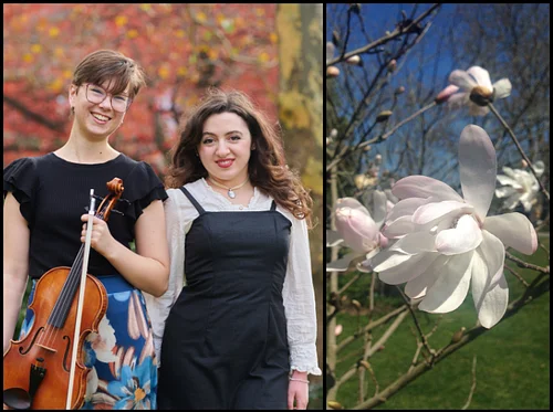 Magnolias in Bloom: Music Inspired by Nature