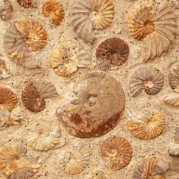 Fossil Lab