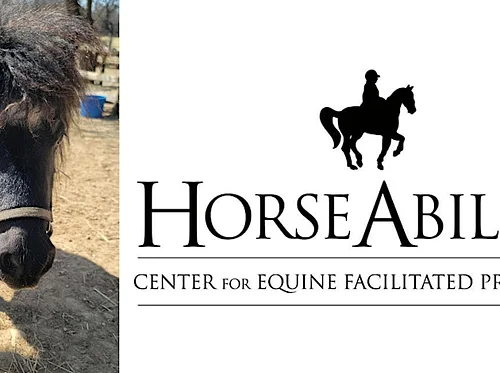 MOCAKIDS Meet & Greet with a Miniature Horse from HorseAbility & MOCACREATE with Teaching Artist Yu Rong