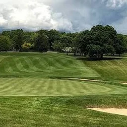 5th Annual Community Cup Golf Tournament