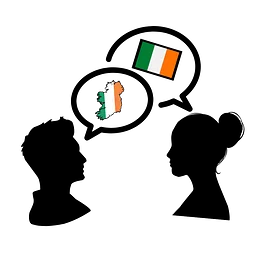 Beginning Irish I: Fall 2026