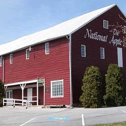 Highland Cow Paint Night For a Cause