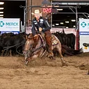 Cutting Horse Show