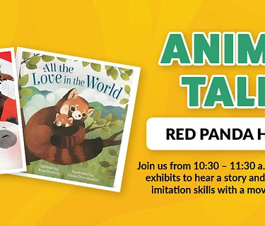 Early Childhood Pop-Up: Animal Tales – Red Panda Exhibit