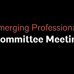 Emerging Professionals Committee Meeting