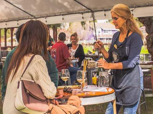 Open Friday for Wine Tastings and Picnics