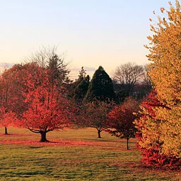 Fall Sunset Tour
