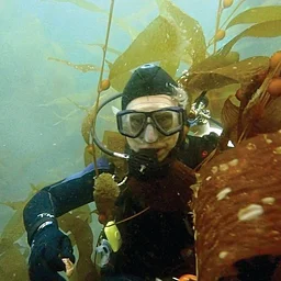 Science Social at the Field Station with David Helvarg, Author of The Forest of the Sea