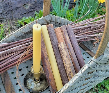 Beeswax Candle Making with a Special Twist