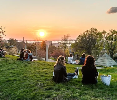 After Hours Picnic (Members Only)