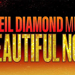 A Beautiful Noise