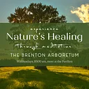 Experience Nature’s Healing: Nature Meditation
