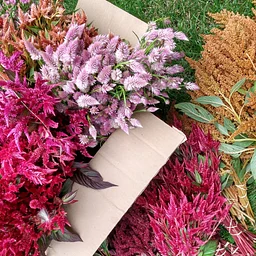 Fall Harvest Wreath Workshop