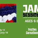 JAM Sessions: Festive Carnations