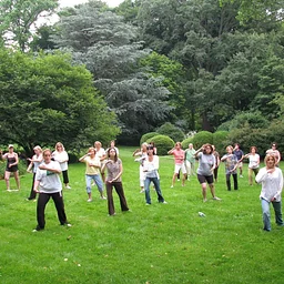 Tai Chi in the Gardens