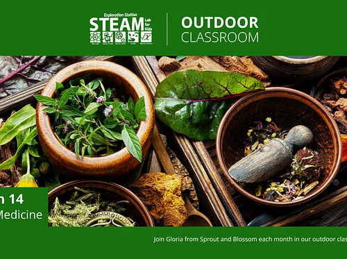 STEAM Outdoors with Sprout and Blossom: Plant Medicine