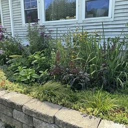 Rain Gardens – A Beautiful Way to Capture the Rain