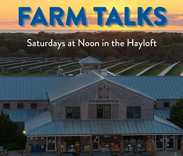 Farm Talk: Nantucket Culture & Tourism with Shantaw Bloise