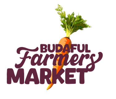 Music at the market: Juan Alcazar