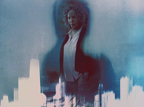 HAMPTONS WHODUNIT SCREENING—HUNT FOR THE MISSING: CHICAGO