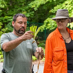 From One to Many: Plant Propagation Walk