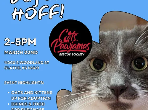 Bingo Sunday and Cat Adoptions at the HOFF